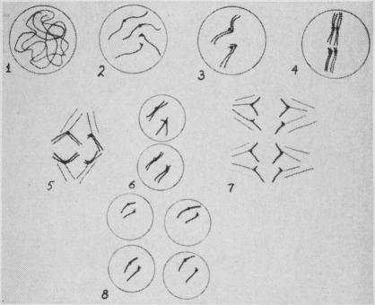 https://cdn.ncbi.nlm.nih.gov/pmc/blobs/dd30/2642322/f766bf3103a3/jnma00686-0022-a.jpg