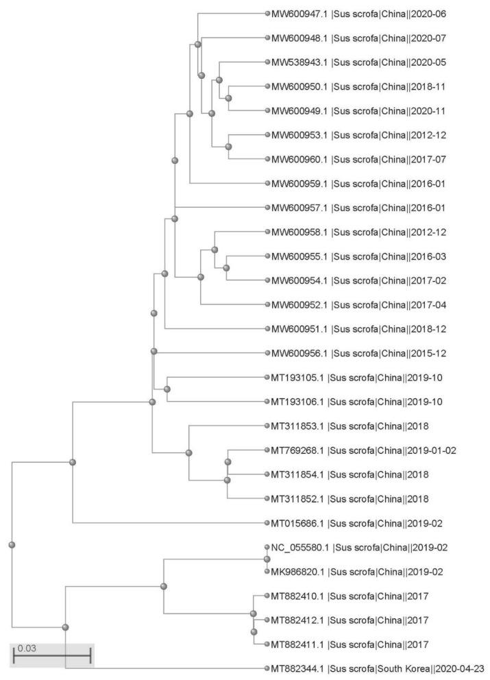 https://cdn.ncbi.nlm.nih.gov/pmc/blobs/dd31/8950282/a4a12fb29d4c/ijms-23-03288-g003.jpg