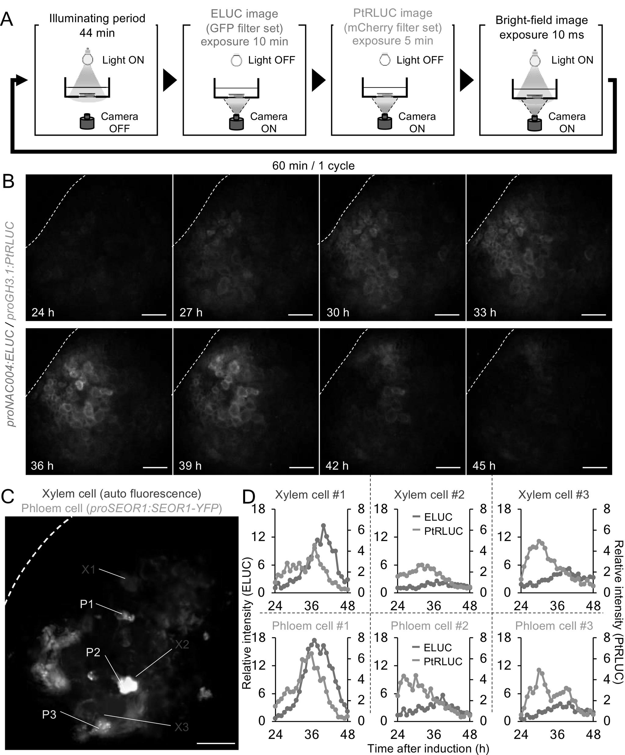 https://cdn.ncbi.nlm.nih.gov/pmc/blobs/dd32/10095866/0806b73f1f53/S2632882822000121_fig5.jpg