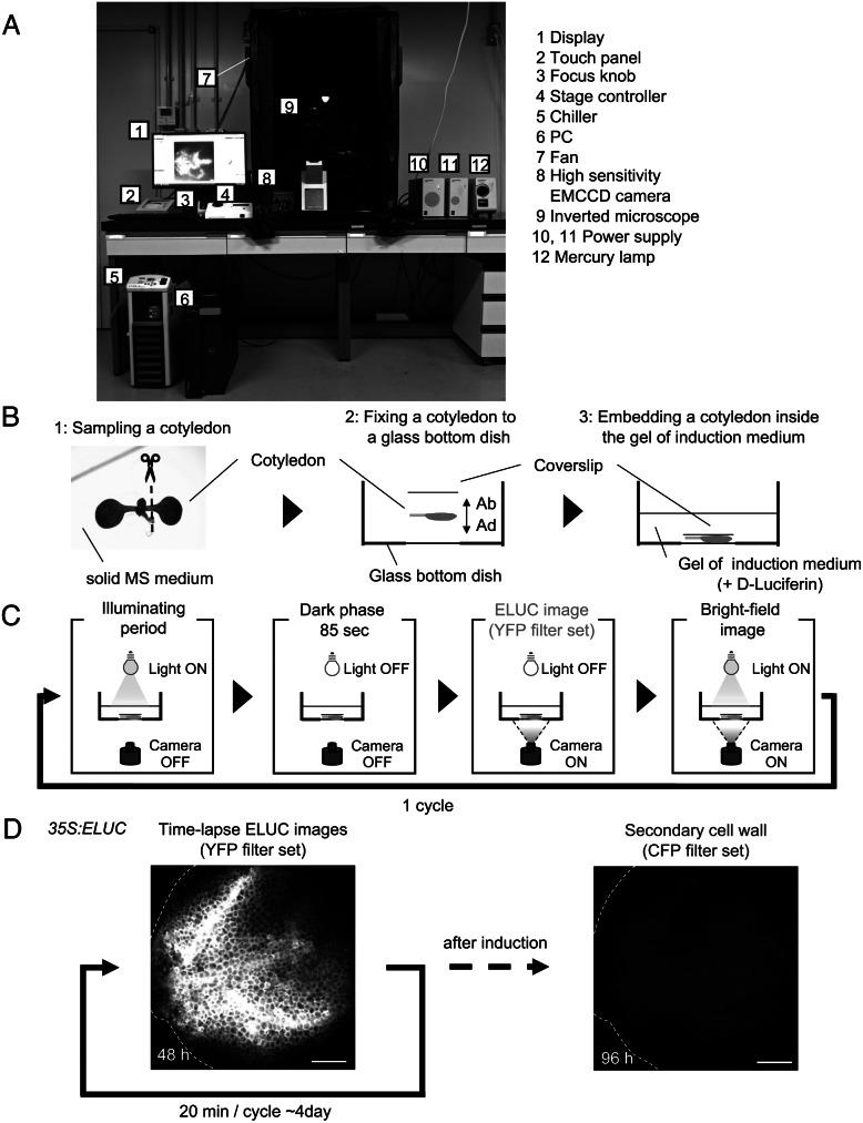 https://cdn.ncbi.nlm.nih.gov/pmc/blobs/dd32/10095866/7f2ef8308c69/S2632882822000121_fig1.jpg