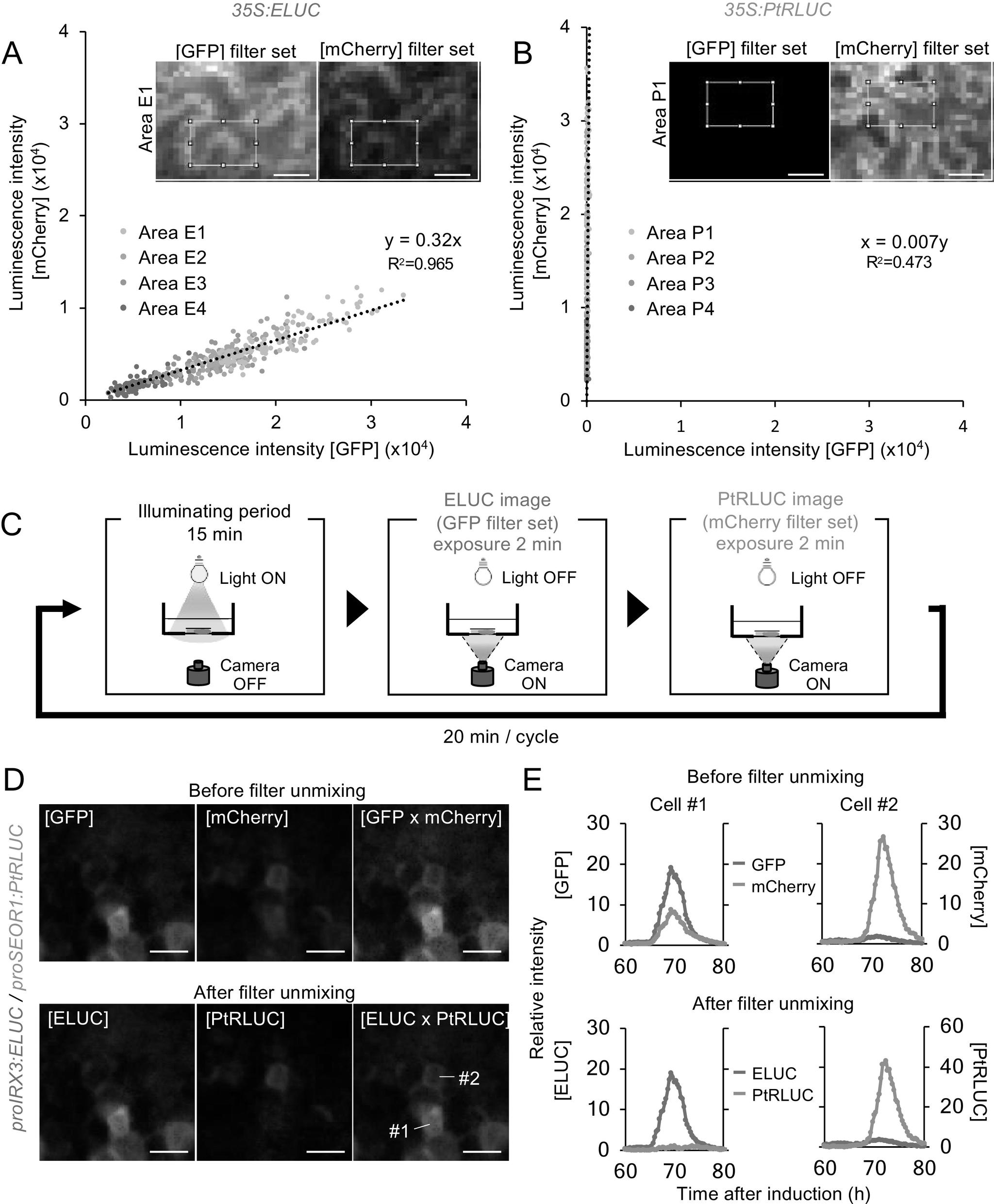 https://cdn.ncbi.nlm.nih.gov/pmc/blobs/dd32/10095866/9dd59f8b0bec/S2632882822000121_fig3.jpg