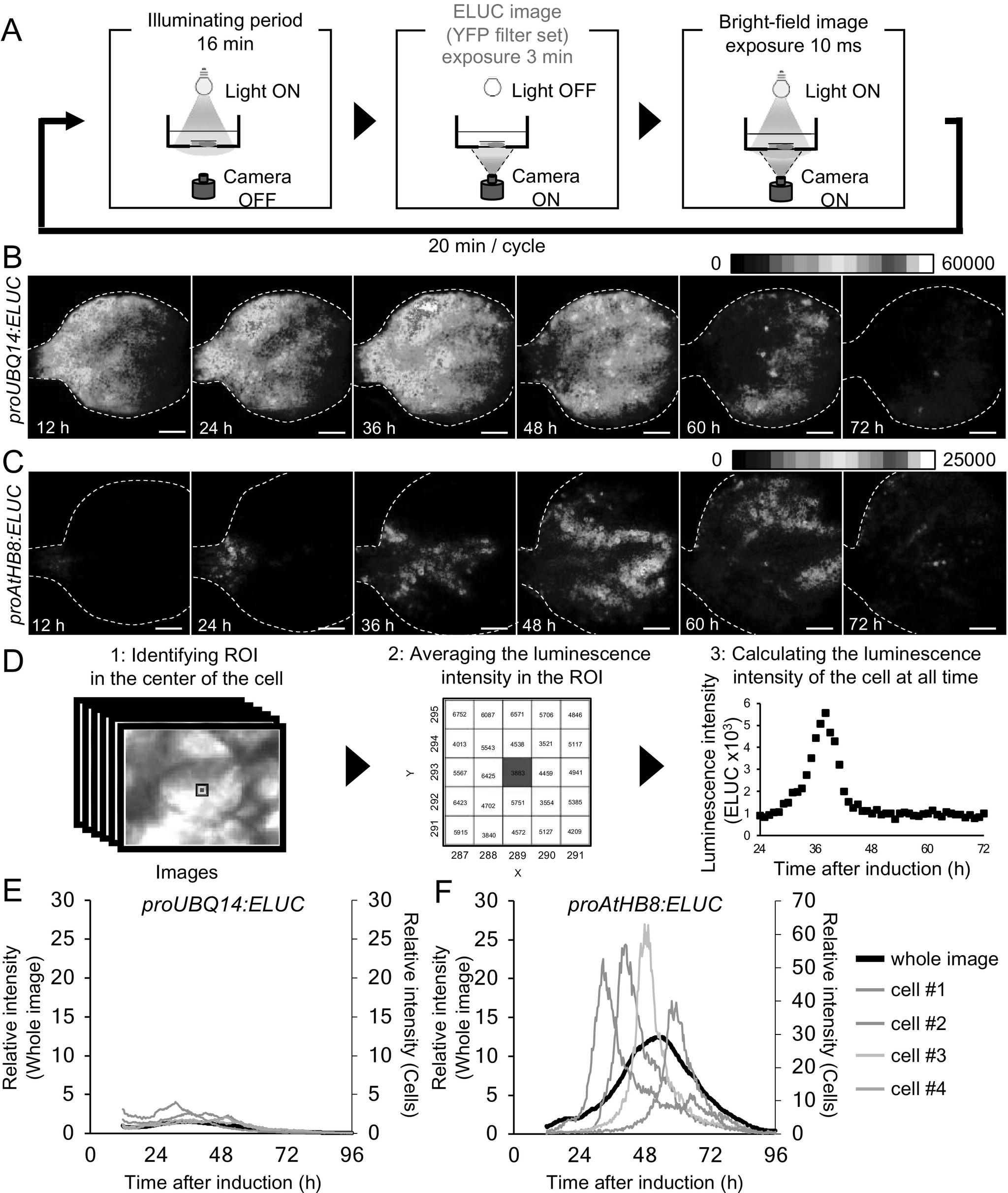 https://cdn.ncbi.nlm.nih.gov/pmc/blobs/dd32/10095866/fb89e3144ddf/S2632882822000121_fig2.jpg