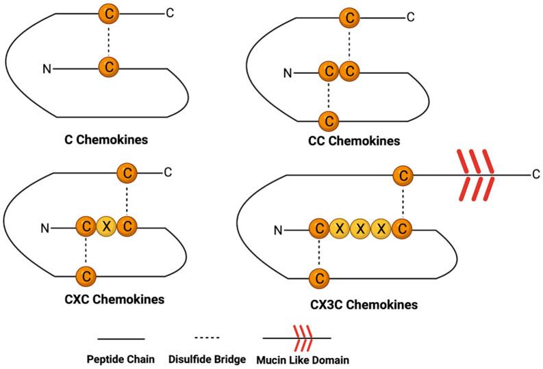 https://cdn.ncbi.nlm.nih.gov/pmc/blobs/dd32/10854906/94c085d23ae0/cancers-16-00559-g001.jpg