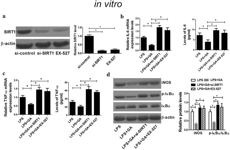 https://cdn.ncbi.nlm.nih.gov/pmc/blobs/dd32/5567569/139481a64b1a/13578_2017_173_Fig5_HTML.jpg