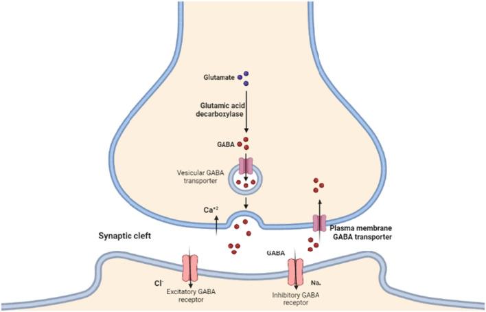 https://cdn.ncbi.nlm.nih.gov/pmc/blobs/dd33/10967046/fdcdefac7d46/40001_2024_1779_Fig2_HTML.jpg