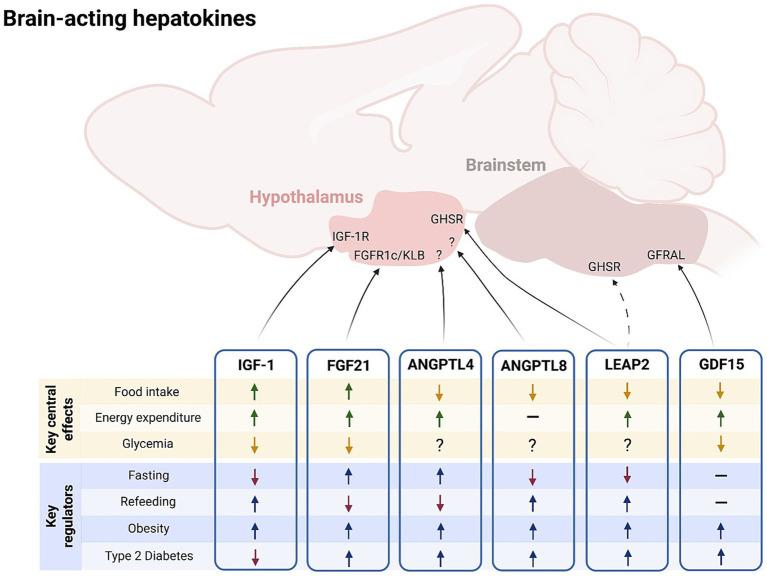 https://cdn.ncbi.nlm.nih.gov/pmc/blobs/dd35/12119552/384eee5820cd/fnins-19-1589110-g001.jpg