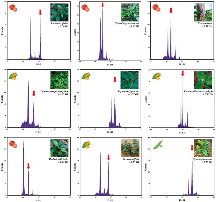 https://cdn.ncbi.nlm.nih.gov/pmc/blobs/dd36/11679336/6e7e927b0ddb/plants-13-03536-g002.jpg