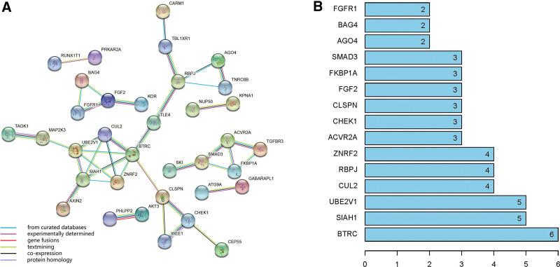 https://cdn.ncbi.nlm.nih.gov/pmc/blobs/dd36/9371492/d1207b678dbb/medi-101-e30035-g005.jpg