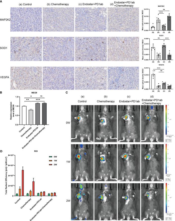 https://cdn.ncbi.nlm.nih.gov/pmc/blobs/dd39/10563513/ca86f0b71290/fimmu-14-1220760-g011.jpg