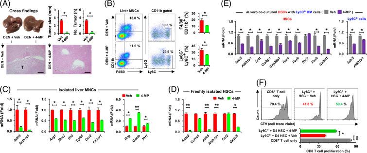 https://cdn.ncbi.nlm.nih.gov/pmc/blobs/dd39/12356560/8d28532b13ed/hep-82-0655-g007.jpg
