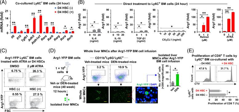 https://cdn.ncbi.nlm.nih.gov/pmc/blobs/dd39/12356560/95e58057229e/hep-82-0655-g006.jpg