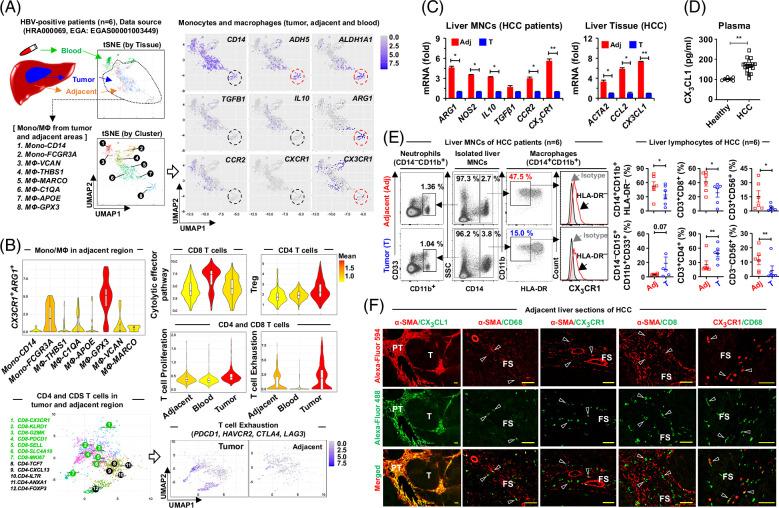 https://cdn.ncbi.nlm.nih.gov/pmc/blobs/dd39/12356560/d6fc7d00fba7/hep-82-0655-g002.jpg
