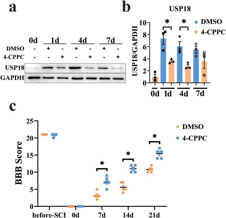 https://cdn.ncbi.nlm.nih.gov/pmc/blobs/dd3a/12168970/d75ac18f595a/JIR-18-7651-g0009.jpg