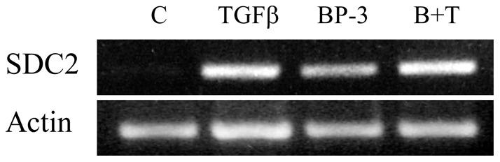 https://cdn.ncbi.nlm.nih.gov/pmc/blobs/dd3a/3416749/9790af77f46b/pone.0043049.g002.jpg