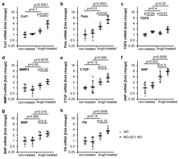 https://cdn.ncbi.nlm.nih.gov/pmc/blobs/dd3d/7695185/cd3da62430fa/cells-09-02436-g005.jpg