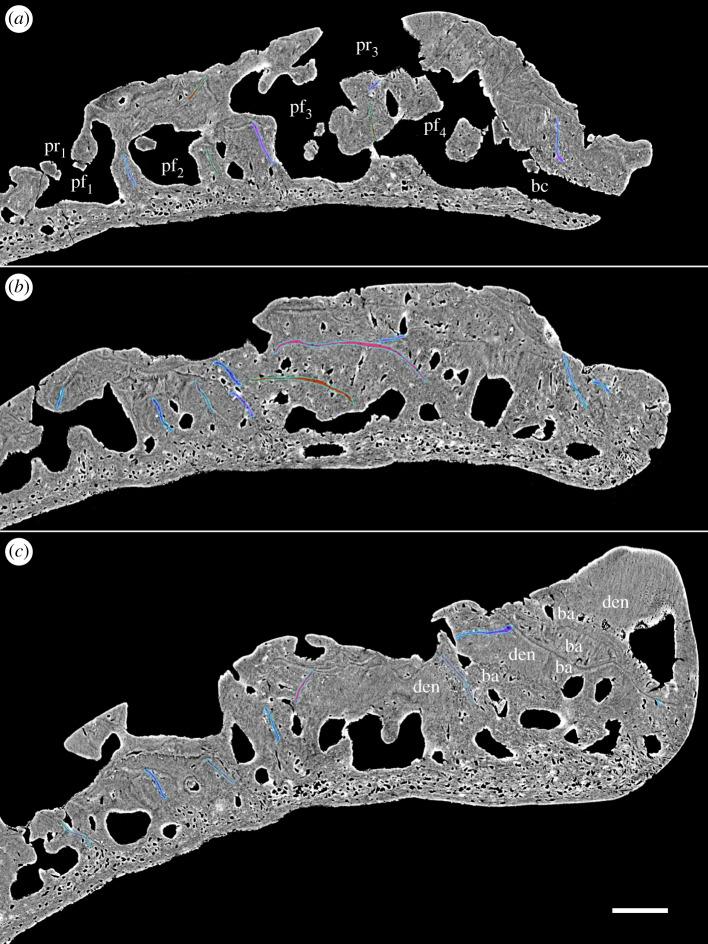 https://cdn.ncbi.nlm.nih.gov/pmc/blobs/dd3f/5451804/cad820e081cc/rsos161084-g7.jpg