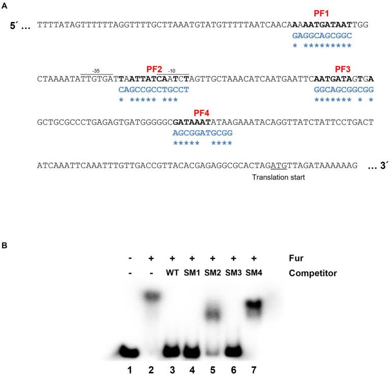 https://cdn.ncbi.nlm.nih.gov/pmc/blobs/dd40/10584307/d93369c99d60/fmicb-14-1273095-g002.jpg