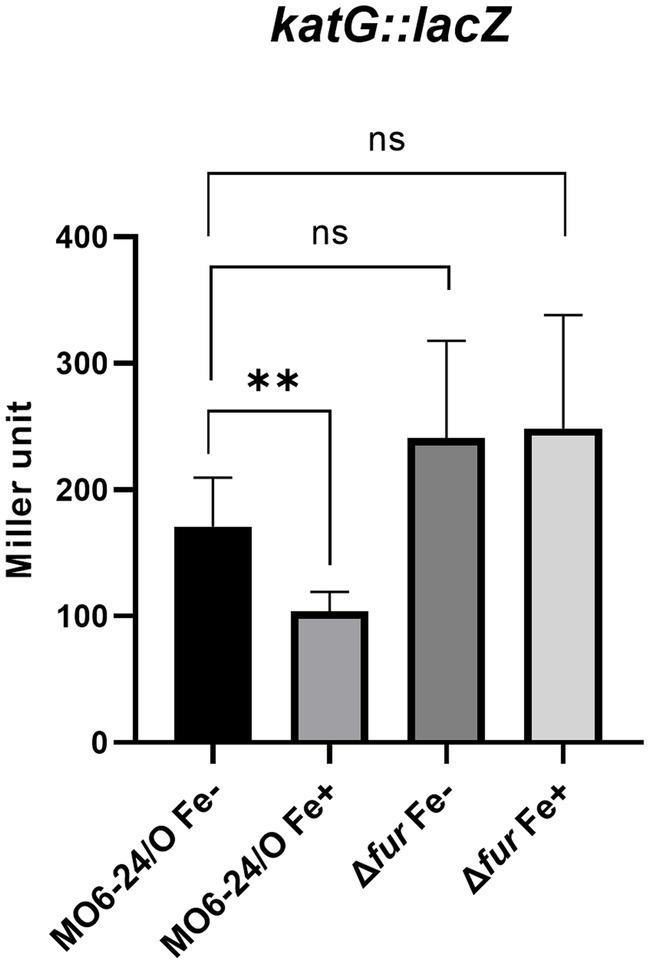 https://cdn.ncbi.nlm.nih.gov/pmc/blobs/dd40/10584307/dbcb64bbf8be/fmicb-14-1273095-g005.jpg