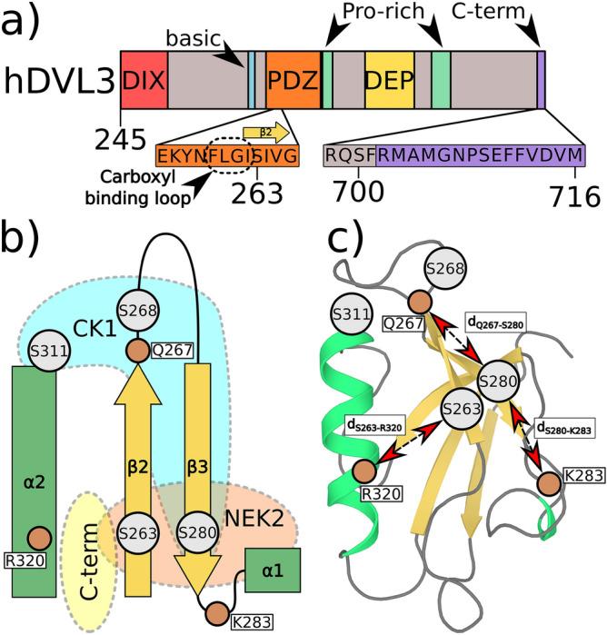 https://cdn.ncbi.nlm.nih.gov/pmc/blobs/dd40/7810883/a2e948f65233/41598_2020_79398_Fig1_HTML.jpg