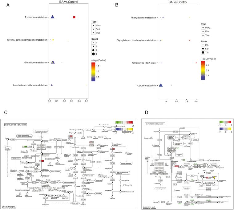 https://cdn.ncbi.nlm.nih.gov/pmc/blobs/dd41/12079373/c2b9d9f72a4a/plaf019_fig8.jpg