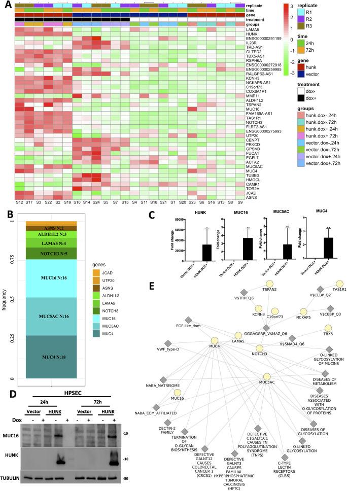 https://cdn.ncbi.nlm.nih.gov/pmc/blobs/dd43/12218837/435d6fb0b860/12964_2025_2329_Fig4_HTML.jpg