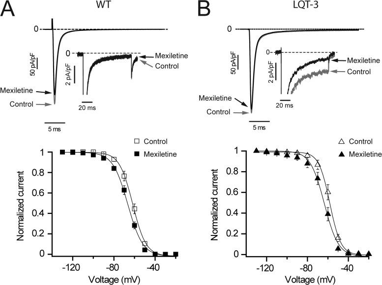 https://cdn.ncbi.nlm.nih.gov/pmc/blobs/dd43/3536519/9e789979077e/JGP_201210899_Fig7.jpg