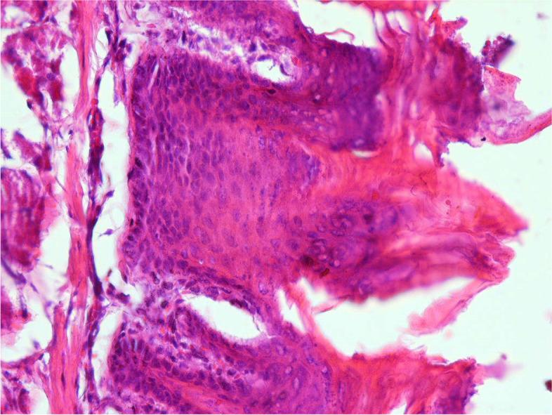 https://cdn.ncbi.nlm.nih.gov/pmc/blobs/dd47/9020014/5d1e7f661ebf/12906_2022_3590_Fig6_HTML.jpg