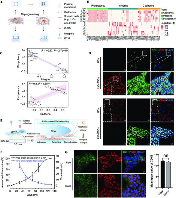https://cdn.ncbi.nlm.nih.gov/pmc/blobs/dd4d/10923610/ed4cb274eb6b/research.0338.fig.001.jpg