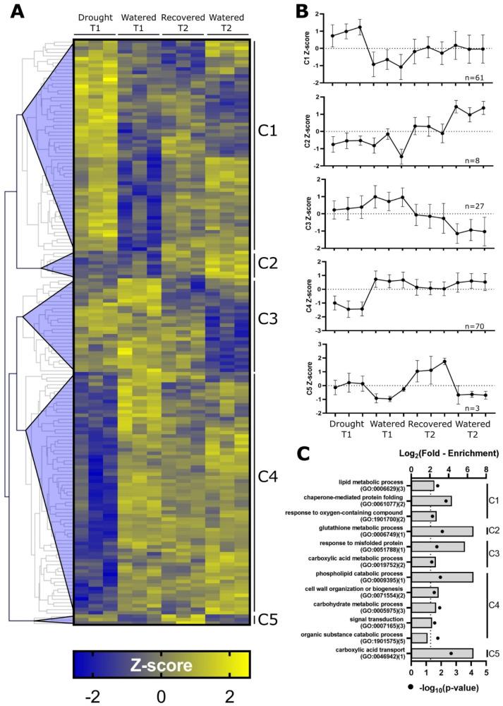 https://cdn.ncbi.nlm.nih.gov/pmc/blobs/dd4e/7352395/701bf84aca65/ijms-21-04461-g005.jpg