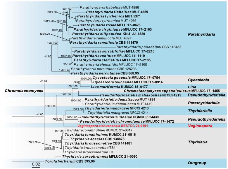 https://cdn.ncbi.nlm.nih.gov/pmc/blobs/dd50/11355412/3a914468858f/jof-10-00542-g002.jpg