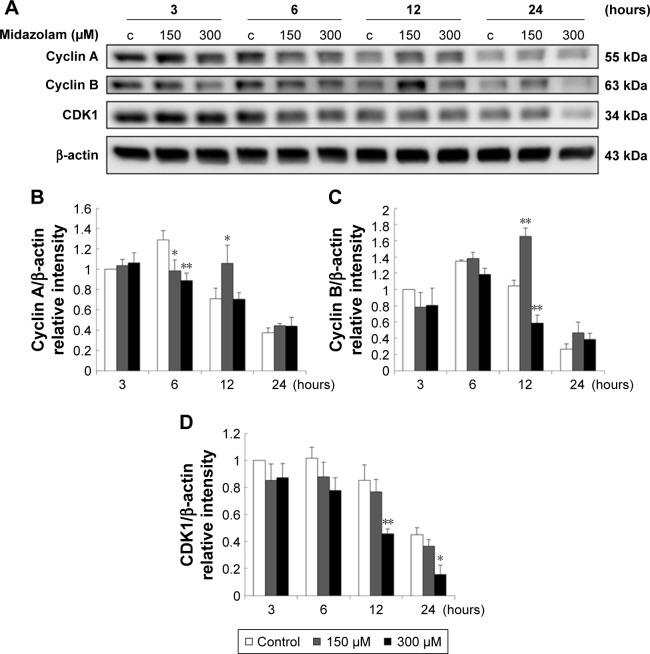 https://cdn.ncbi.nlm.nih.gov/pmc/blobs/dd52/5858853/c54efe010cd7/ott-11-1475Fig8.jpg