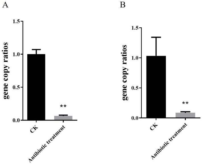 https://cdn.ncbi.nlm.nih.gov/pmc/blobs/dd52/9609335/fd640b86c21b/toxins-14-00698-g007.jpg