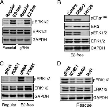 https://cdn.ncbi.nlm.nih.gov/pmc/blobs/dd53/5645922/f608e4525435/12943_2017_727_Fig4_HTML.jpg