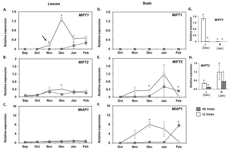 https://cdn.ncbi.nlm.nih.gov/pmc/blobs/dd53/9506463/2799592e3391/plants-11-02409-g007.jpg
