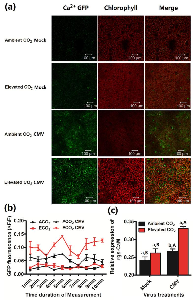 https://cdn.ncbi.nlm.nih.gov/pmc/blobs/dd54/7824600/662515653a90/plants-10-00059-g004.jpg