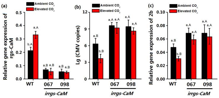 https://cdn.ncbi.nlm.nih.gov/pmc/blobs/dd54/7824600/9094fd73683c/plants-10-00059-g005.jpg