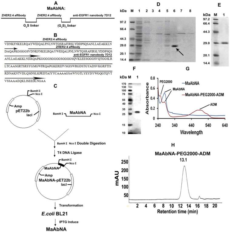 https://cdn.ncbi.nlm.nih.gov/pmc/blobs/dd56/4329502/3202e4fb4f9f/thnov05p0378g002.jpg