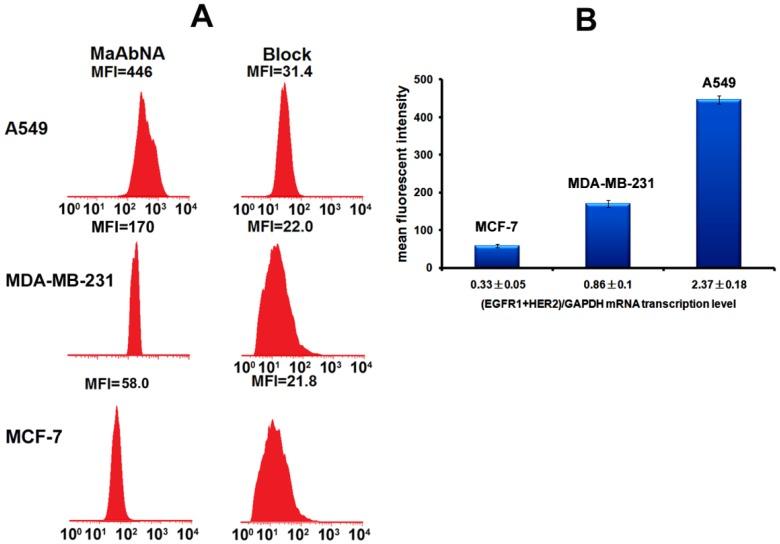 https://cdn.ncbi.nlm.nih.gov/pmc/blobs/dd56/4329502/c6256660cec6/thnov05p0378g005.jpg
