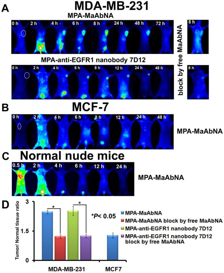 https://cdn.ncbi.nlm.nih.gov/pmc/blobs/dd56/4329502/cccdb0c5679f/thnov05p0378g012.jpg