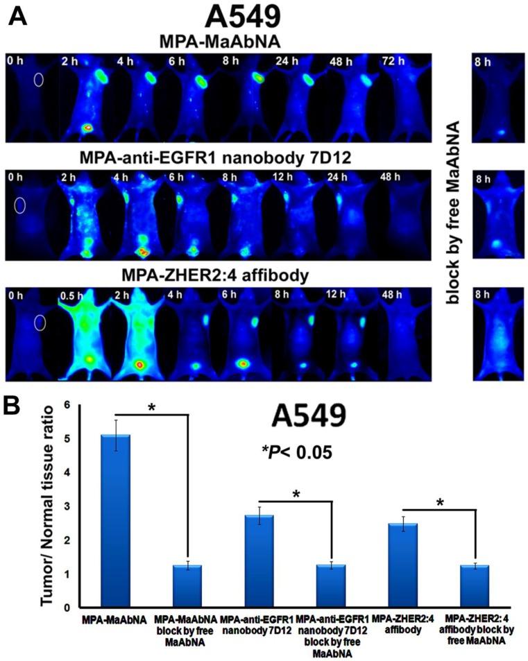 https://cdn.ncbi.nlm.nih.gov/pmc/blobs/dd56/4329502/d2e1c31fbc89/thnov05p0378g011.jpg