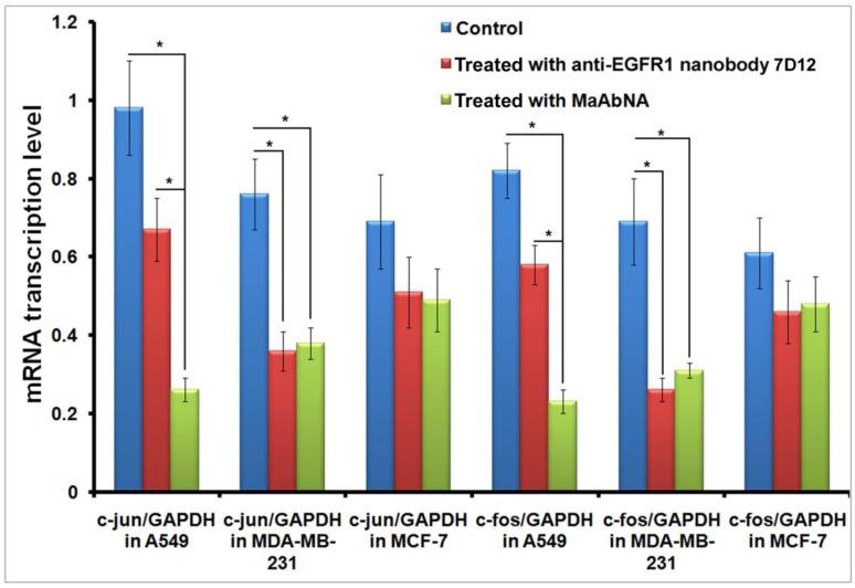 https://cdn.ncbi.nlm.nih.gov/pmc/blobs/dd56/4329502/e19e3ad5b781/thnov05p0378g009.jpg