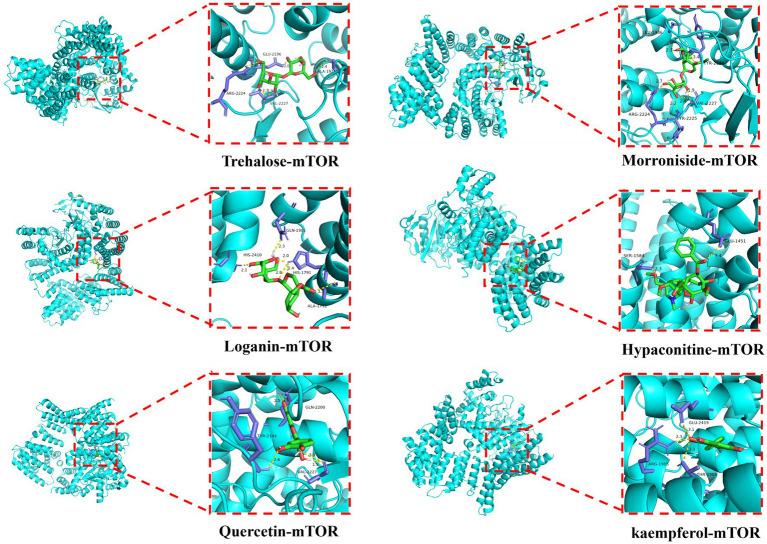 https://cdn.ncbi.nlm.nih.gov/pmc/blobs/dd57/12217934/bb3d4063f79f/fvets-12-1595145-g007.jpg