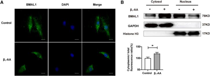 https://cdn.ncbi.nlm.nih.gov/pmc/blobs/dd58/12205601/ccf73cf3d88f/gr3.jpg