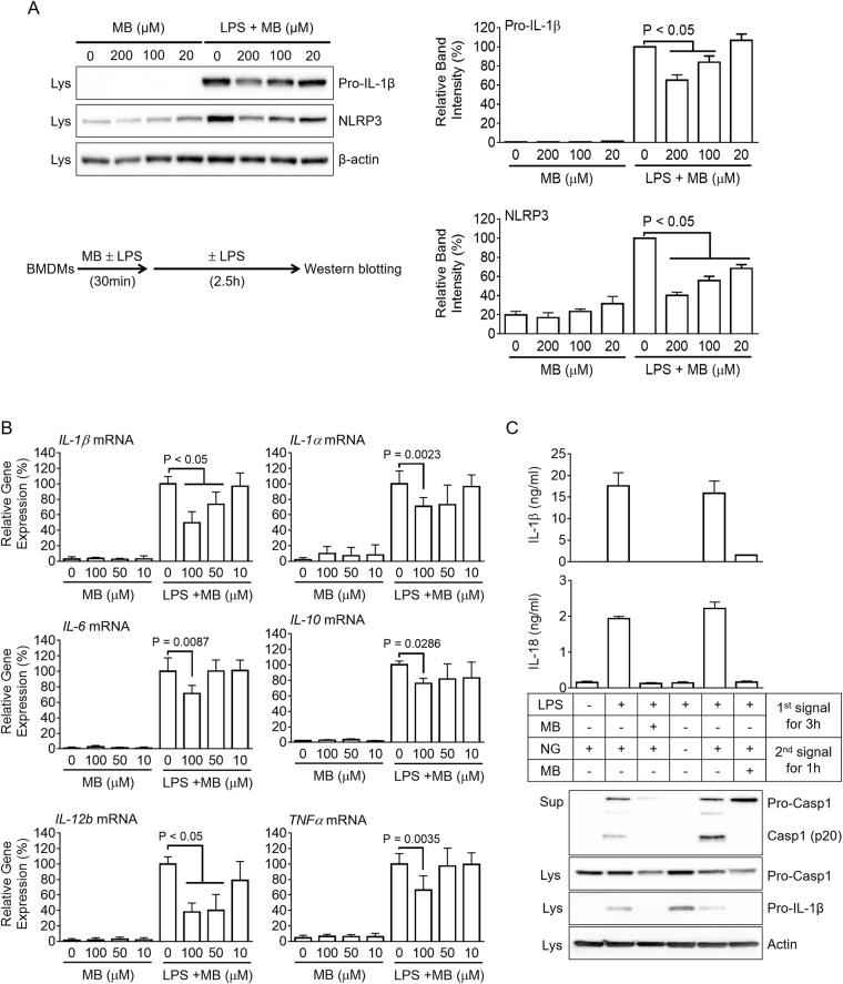 https://cdn.ncbi.nlm.nih.gov/pmc/blobs/dd59/5622101/6f41fac36780/41598_2017_12635_Fig2_HTML.jpg