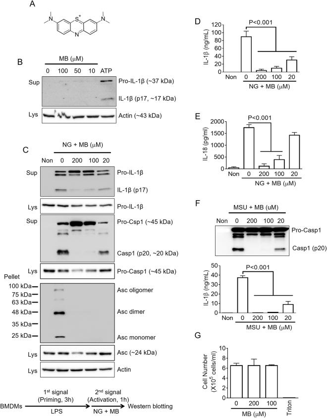 https://cdn.ncbi.nlm.nih.gov/pmc/blobs/dd59/5622101/e9b3763cee25/41598_2017_12635_Fig1_HTML.jpg