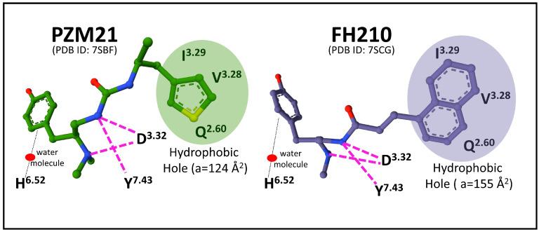 https://cdn.ncbi.nlm.nih.gov/pmc/blobs/dd5a/10377280/19a17718e97d/biomedicines-11-01993-g004.jpg