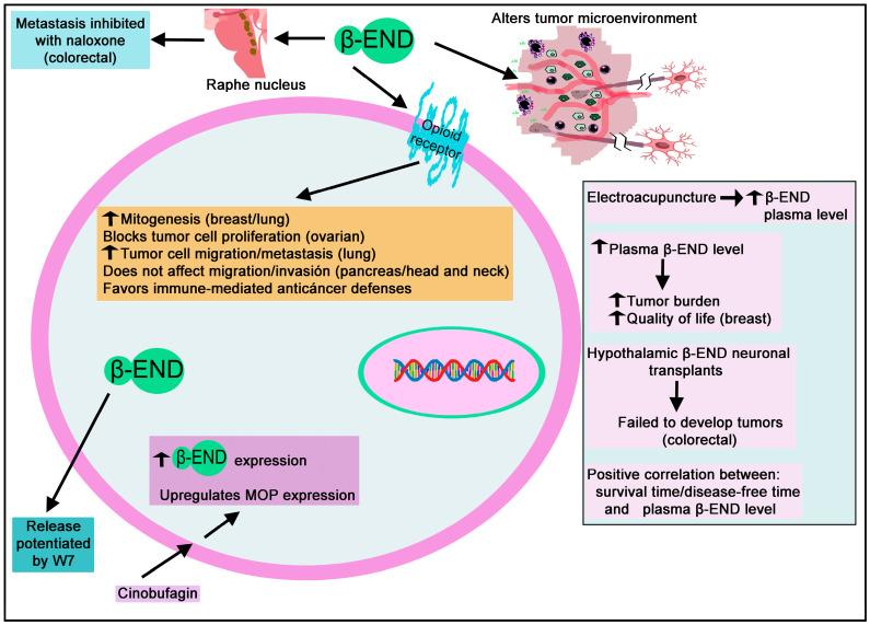 https://cdn.ncbi.nlm.nih.gov/pmc/blobs/dd5a/10377280/588420c87e07/biomedicines-11-01993-g011.jpg