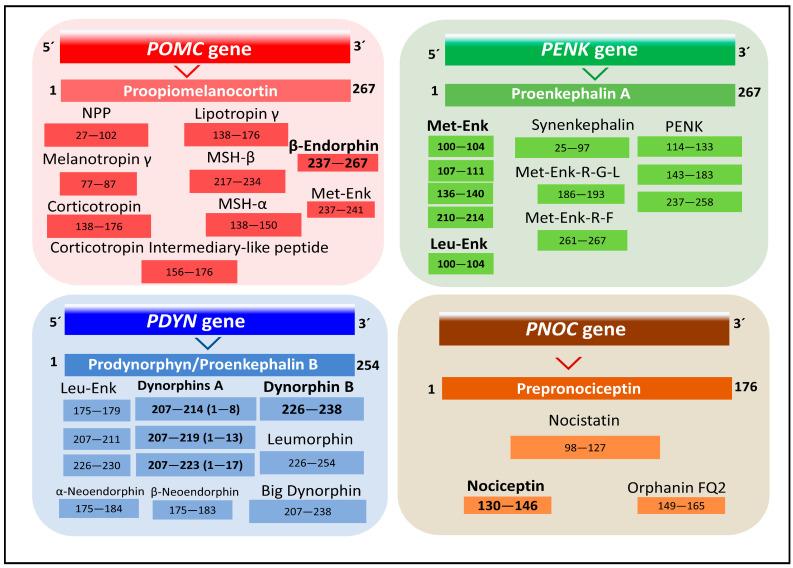 https://cdn.ncbi.nlm.nih.gov/pmc/blobs/dd5a/10377280/608d81e3bb9b/biomedicines-11-01993-g001.jpg