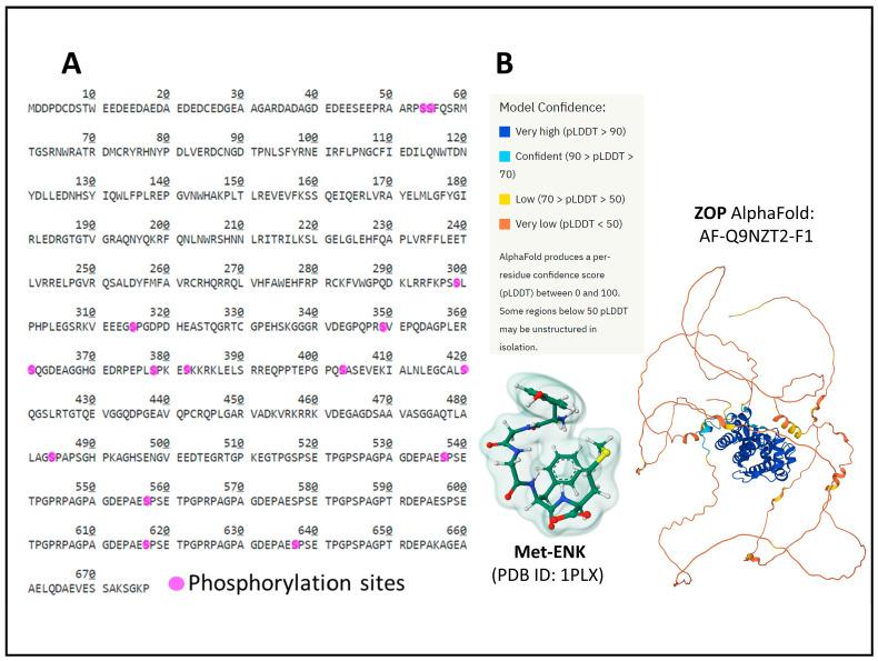 https://cdn.ncbi.nlm.nih.gov/pmc/blobs/dd5a/10377280/8dd8598dc4b0/biomedicines-11-01993-g008.jpg