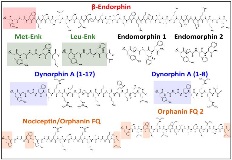 https://cdn.ncbi.nlm.nih.gov/pmc/blobs/dd5a/10377280/b601b523a796/biomedicines-11-01993-g002.jpg
